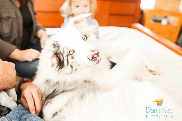 zebrowski-newborn-lifestyle-session-2016-76-of-100