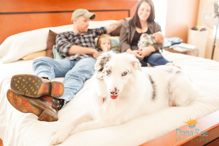 zebrowski-newborn-lifestyle-session-2016-79-of-100